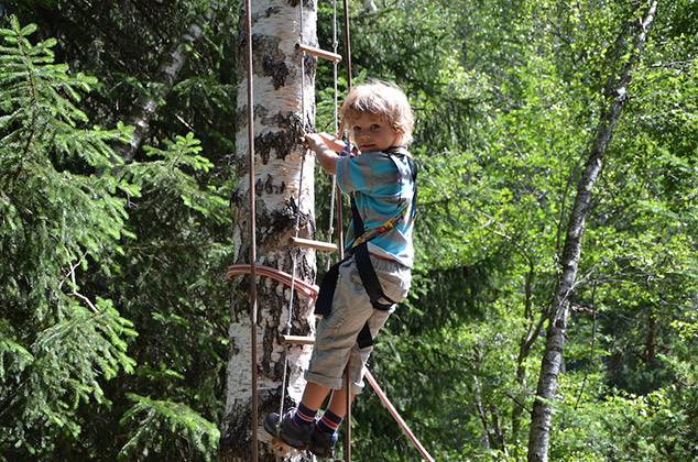 Tree Climbing